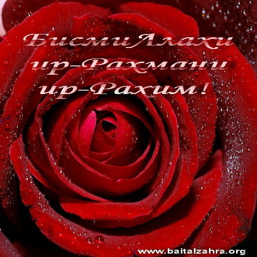 Нилуфар Бурхонова