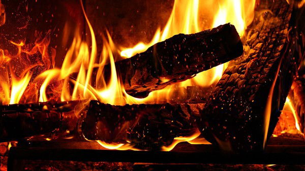 Николай Никитин