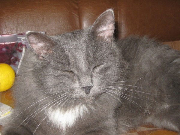 Виталий Викторович