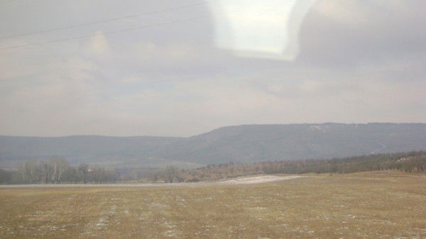 Настя Негриенко