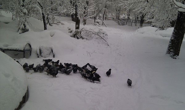 Ерлан Оспанбеков