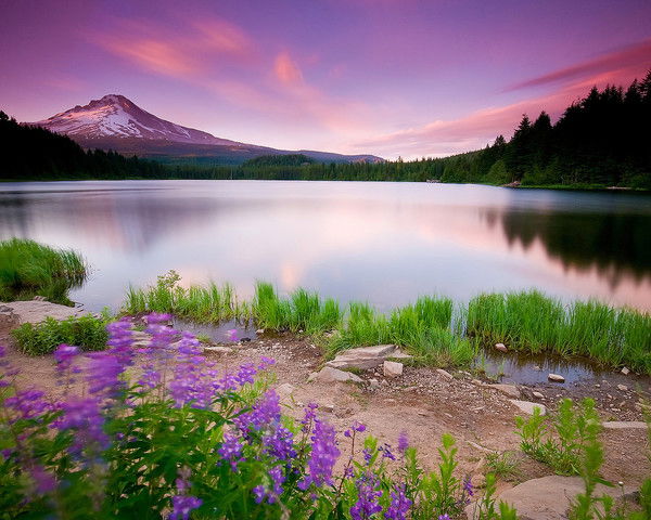 Наталья Дементьева