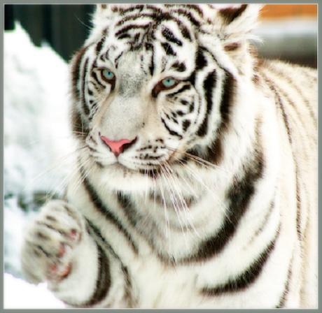 Андрей D®On4Ik