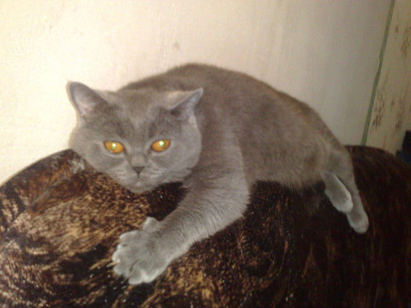 Ринат Ахметов