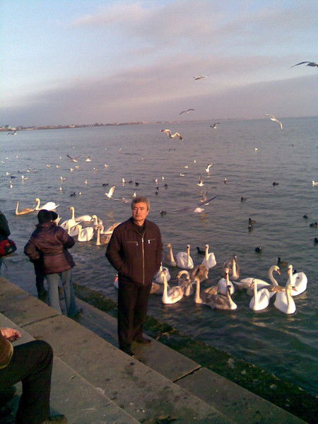 Дилявер Алиев