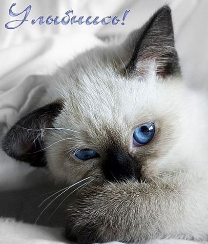 Лиана Энгель