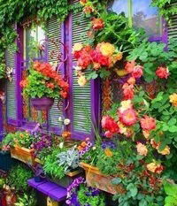 Эмилия Самедова