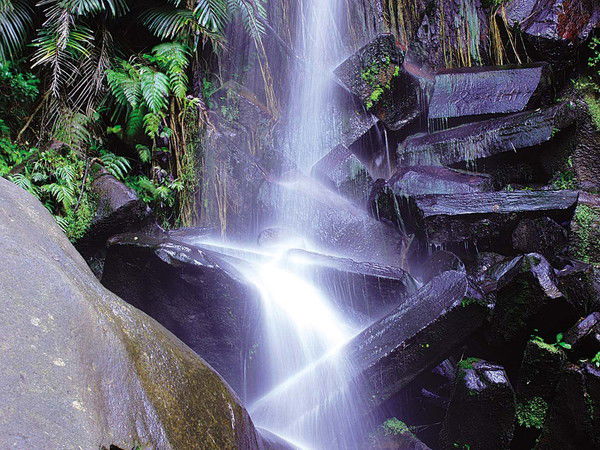 Иван Козятин