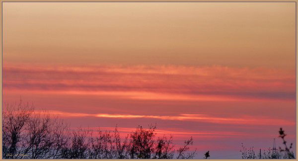 Марина Легалова(Сабитова)