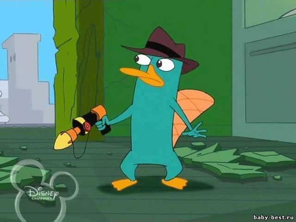 Перри Утконос