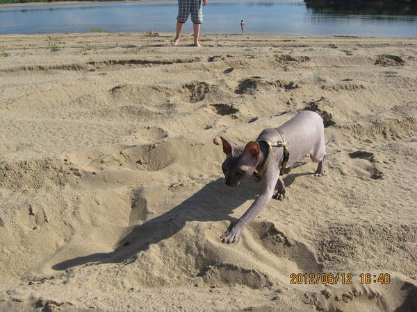 Михаил Бойко