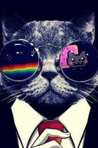 Саша Сорокина