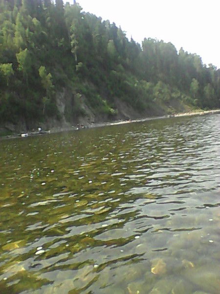 Галя Свиридова