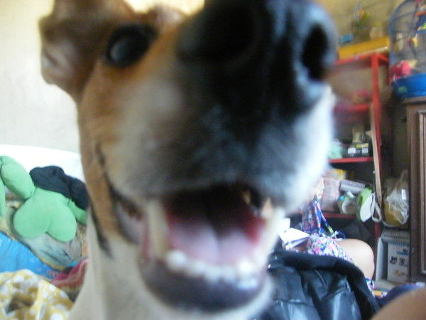 Николай Генин