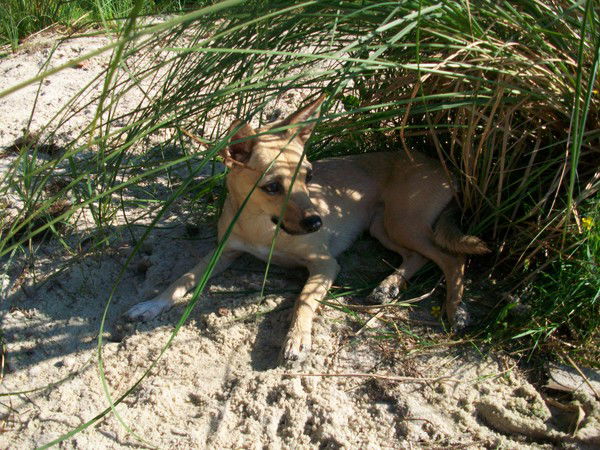 Татьяна Кузнецова