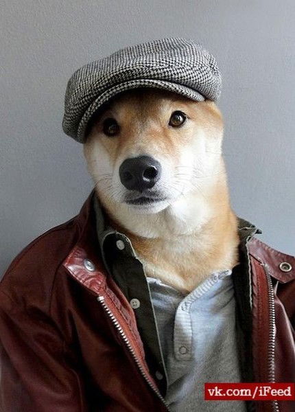 Роберт Шаяхметов