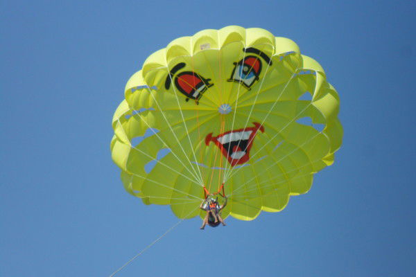 Елена Навродская