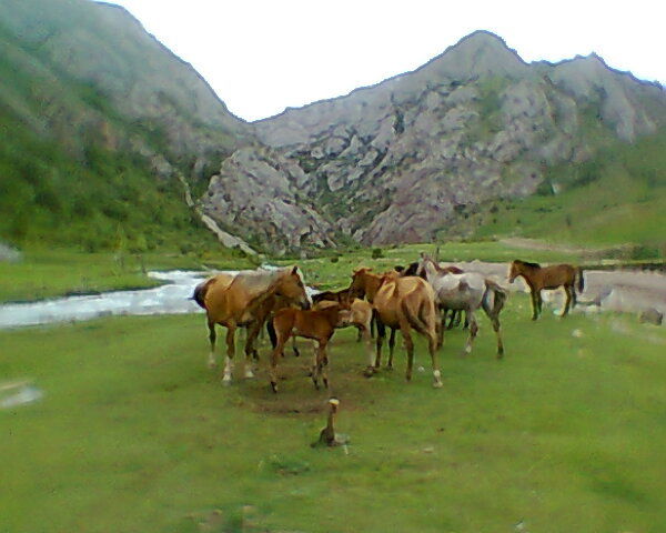 Азамат Мондошев