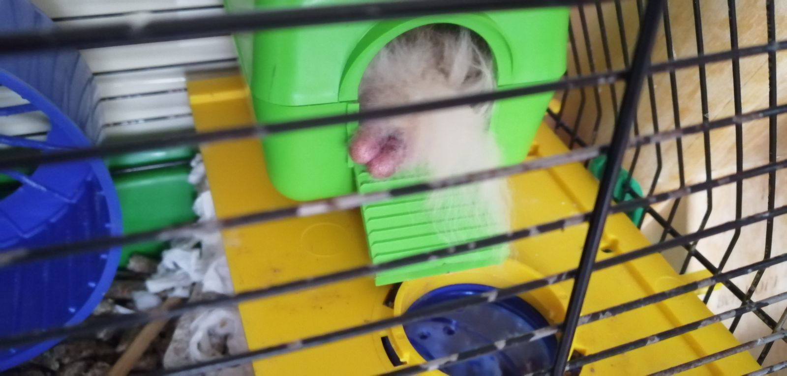 Анатолий Т.