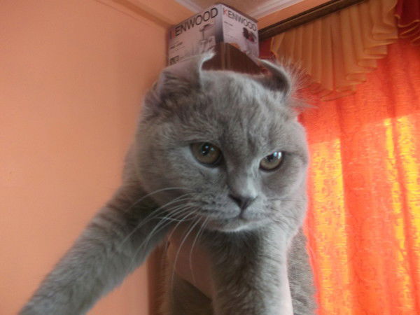 Светочка Маринина