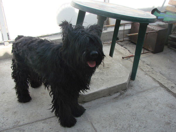 В'ячеслав Бондар