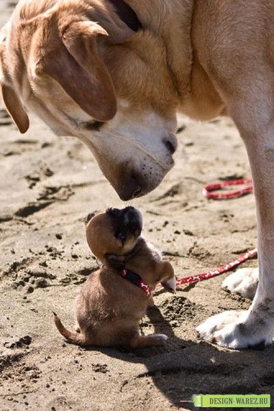 Кайрат Оспанов