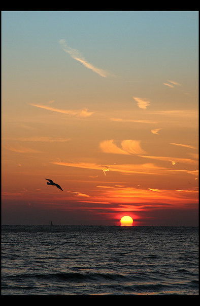 Наташа Дорина