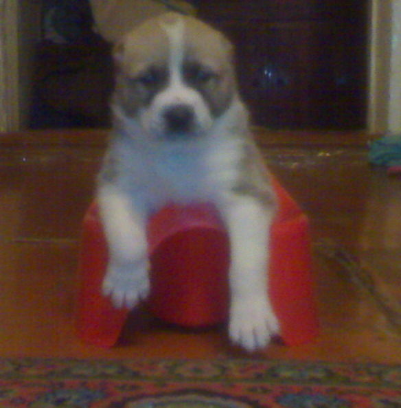 Надежда Селиверстоа