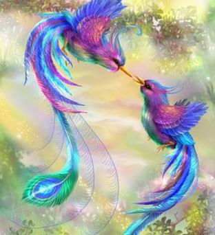 Райская Птица