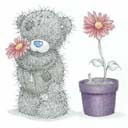 Хава Пайгина