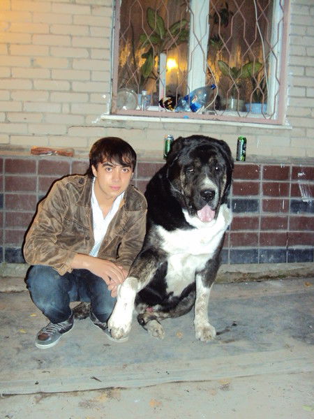 Ирина Попова