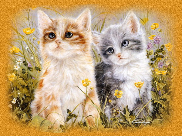 Витя Зоненко