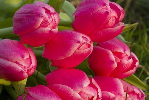 Михаил Смирнов