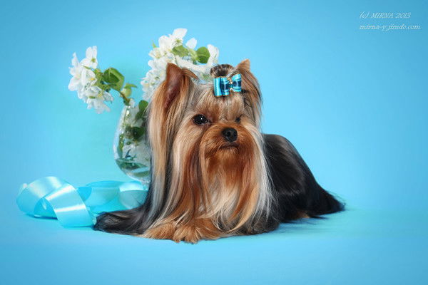 Оксана Катюхина