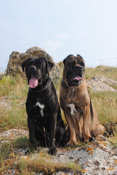 Марина Луговец