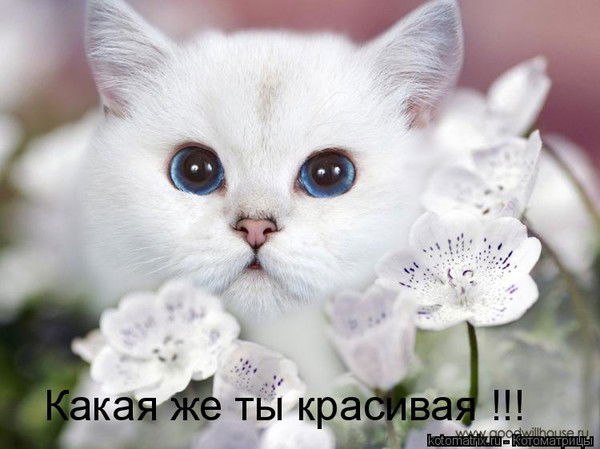 Ирина Москалец