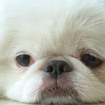 Кристина Наумова