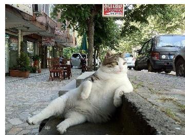 Вера Музафарова