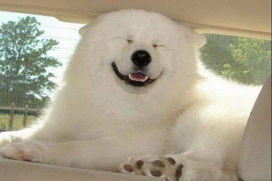 Толян Тлеубаев