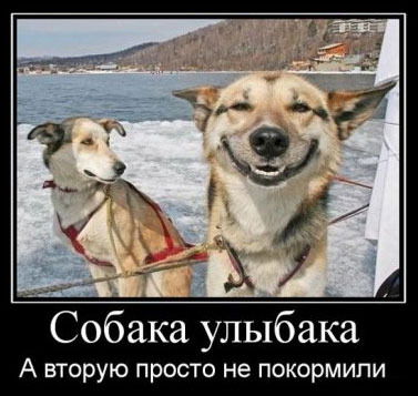 Антон Косякин