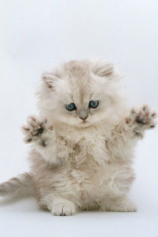 Мария Карпенко