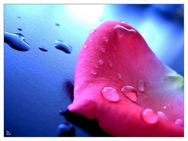 Любовь Назаркина