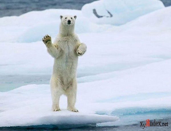 Егор Кузнецов