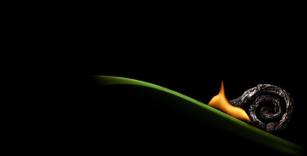 Гульназ Каримова