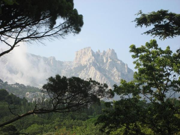 Ольга Калинина