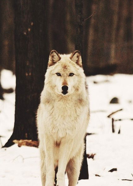 ••o•r•s•e•p•• ••