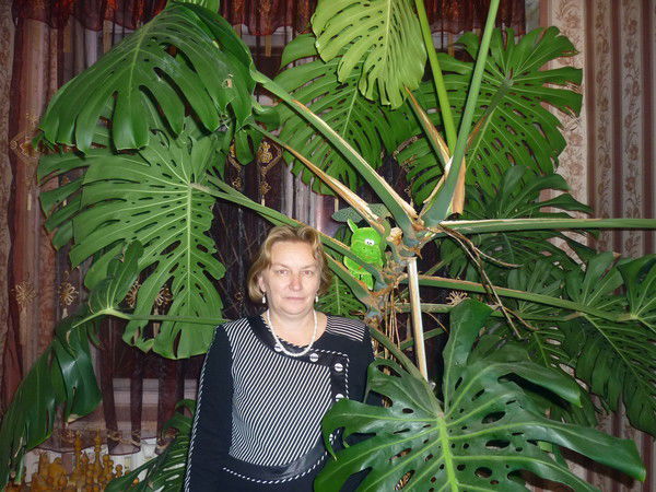 Елена Туголукова