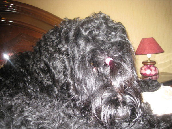 Таня Сингатулина