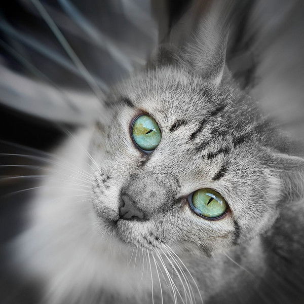 Татьяна Беккер