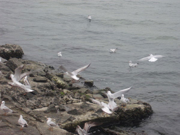 Оксана Оксана